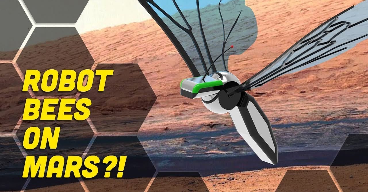 Photograph from the FDCL announcement: MarsBee Research Featured by NASA 360