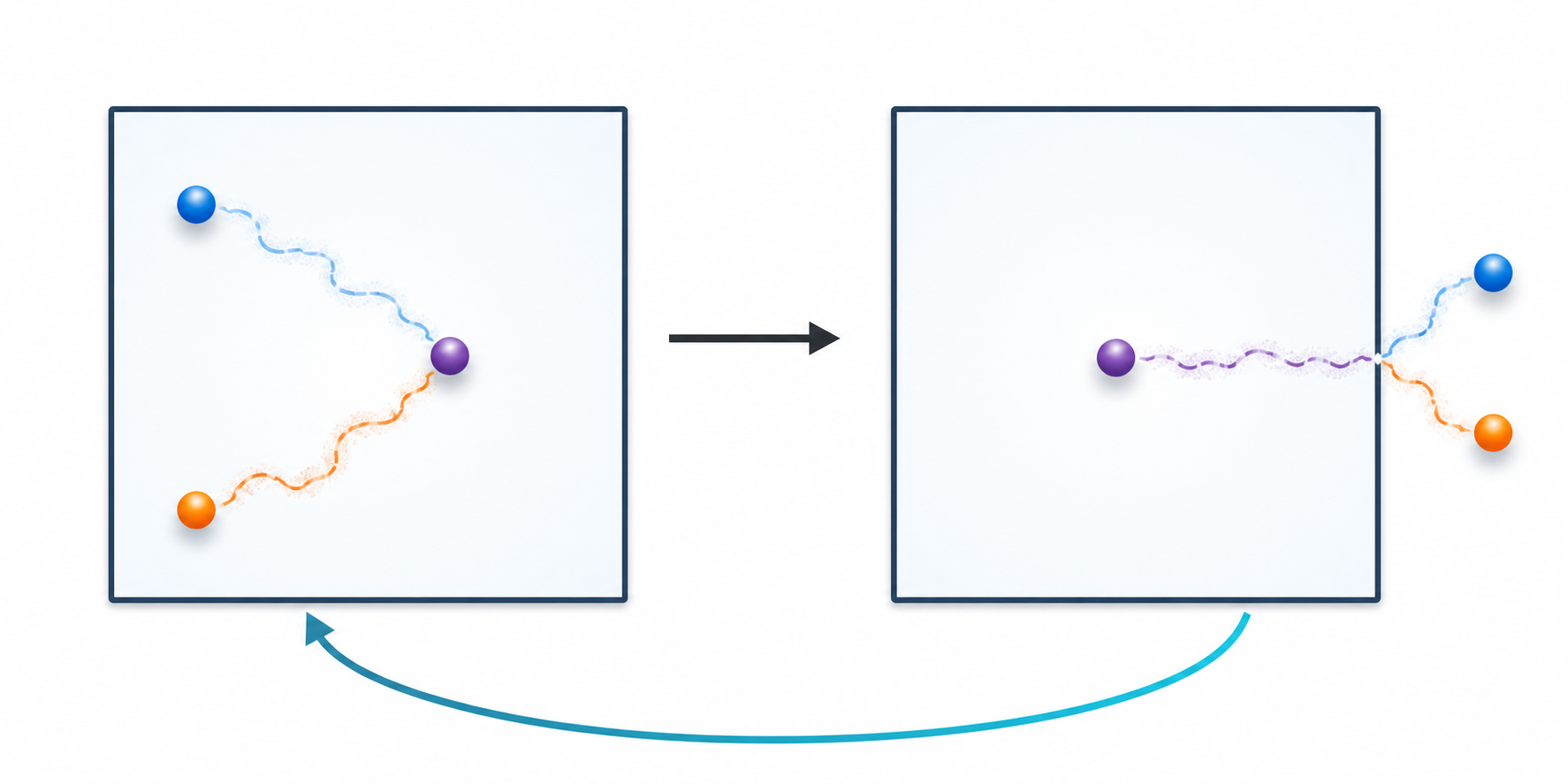 Schematic of two particles merging into one and splitting to repeat the cycle.