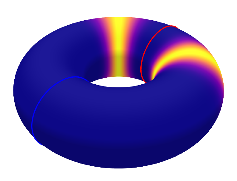 Probability density on a torus with a red guard circle and blue reset circle.