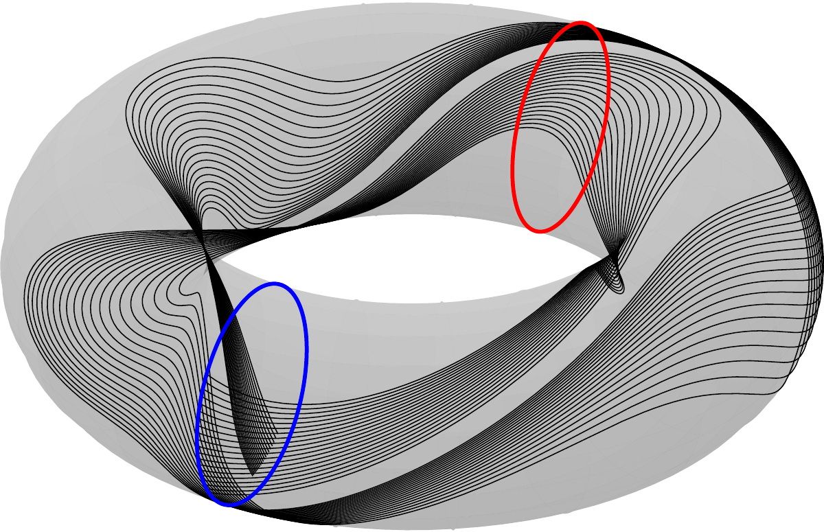 A torus with black drift trajectories, a red guard circle, and a blue reset circle.